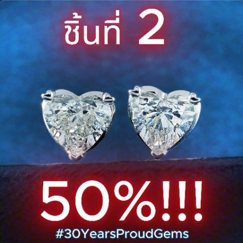 ฉลอง 30 ปี ชิ้นที่ 1 ลด 40% ชิ้นที่ 2 ลด 50%!!!