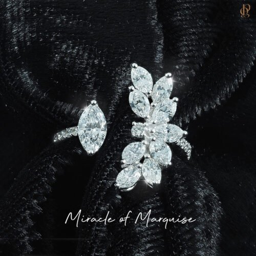 “เพราะคุณคือปาฏิหาริย์นั้นเอง”