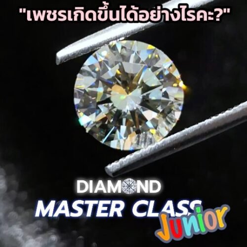 ความหลงใหลในเพชรของแฟนพันธุ์แท้รุ่นจิ๋ว