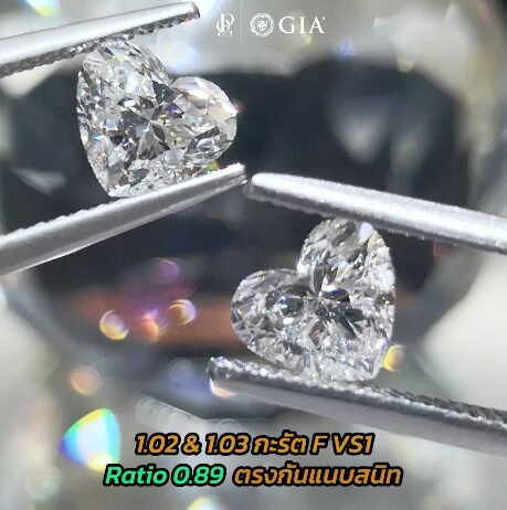 หัวใจที่เข้าคู่กัน “เหนือความน่าจะเป็น”